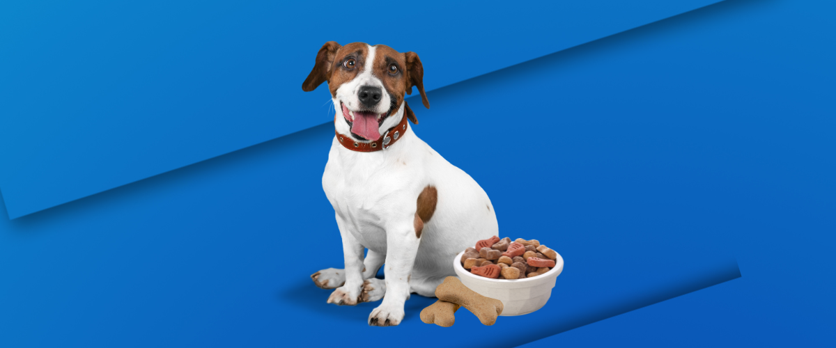how to choose dog food