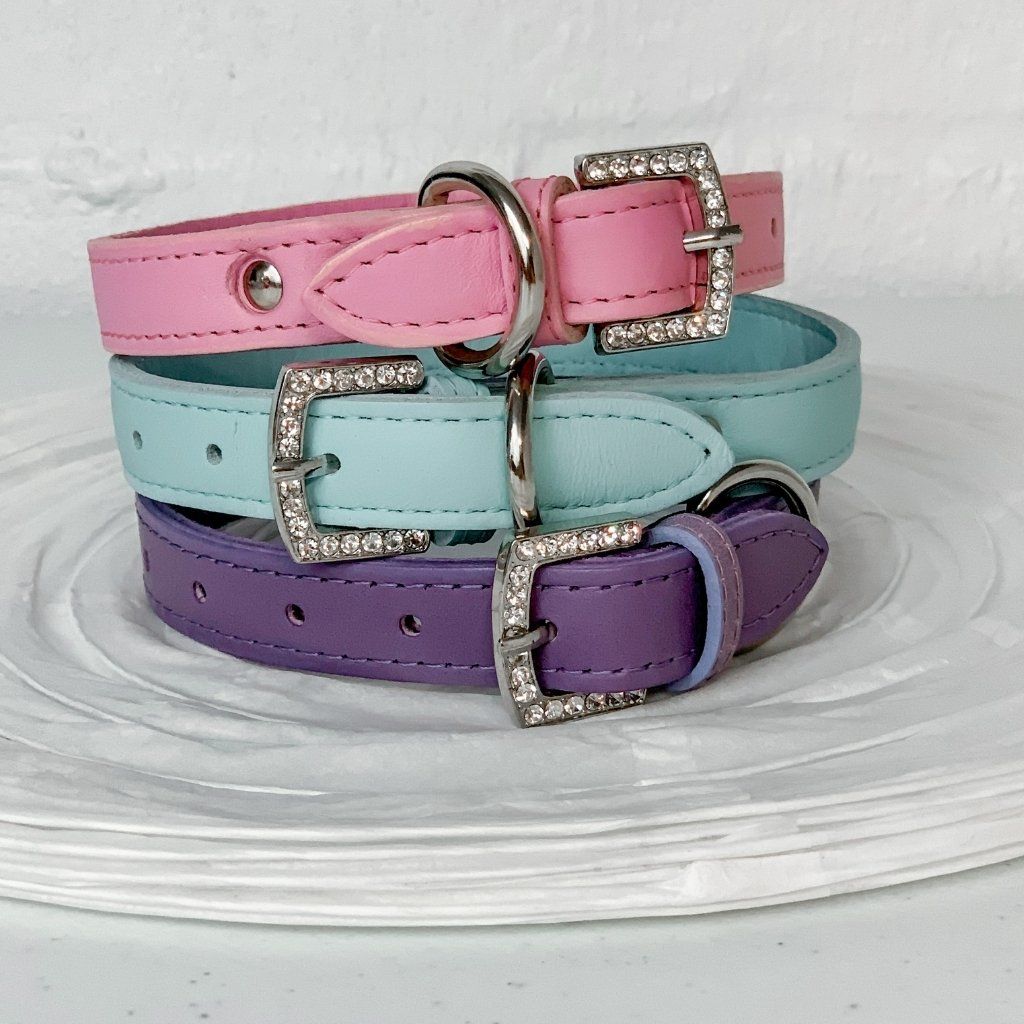 Leather Collars and Leashes for Dogs