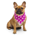 Dog Bandana - Violet Daisy