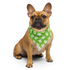 Dog Bandana - Green Daisy