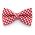 Gingham Bow Tie for Cats | Cute Cat Bowties