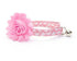 Pink and White Bunny Cat Collar