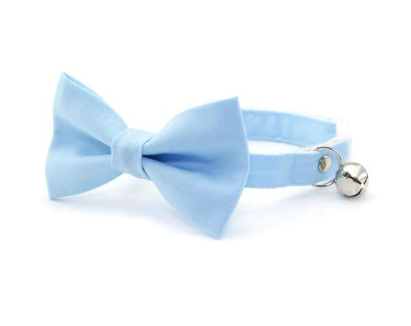 baby blue bow tie cat collar