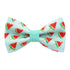 Watermelon Cat Collar | Cute Cat Collars
